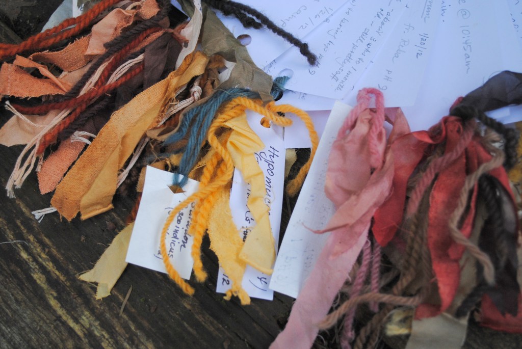 Mushroom-dye samples Mushroom-dye samples