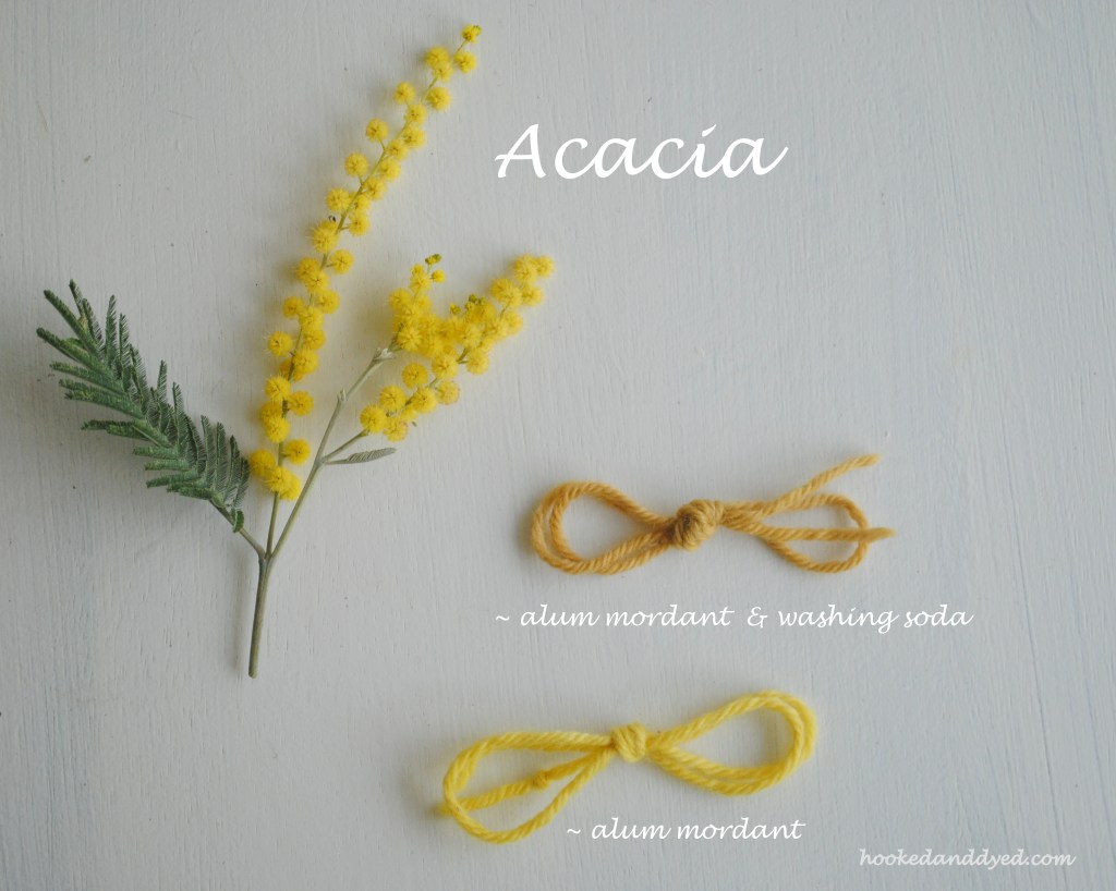 Acacia dye, with and without washing soda