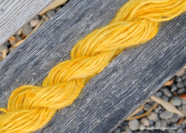 Mushoom dye with Phaeolus schweinitzii