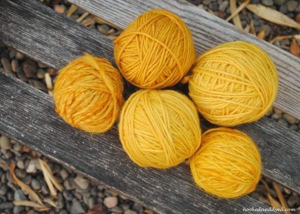 Mushoom dye with Phaeolus schweinitzii