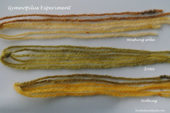Gymnopilus dye