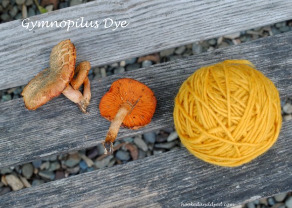 Gymnopilus Mushroom dye