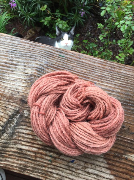 Avocado Dye with pits and skins