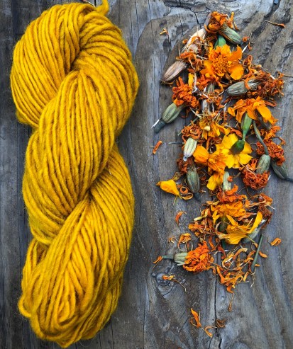 marigold, marigold dye, yellow yarn, natural dye, wool dyed with marigold