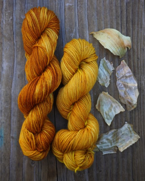Yellow and orange wool skeins naturally dyed with onion skins
