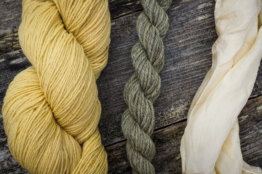 naturally dyed wool using the mushroom Gymnopilus